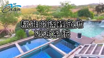 Video herunterladen: 传统标准的锦鲤鱼池过滤系统是怎么样？基础结构是核心关键所在，设备次之，要么做到一步到位，要么白费投资！