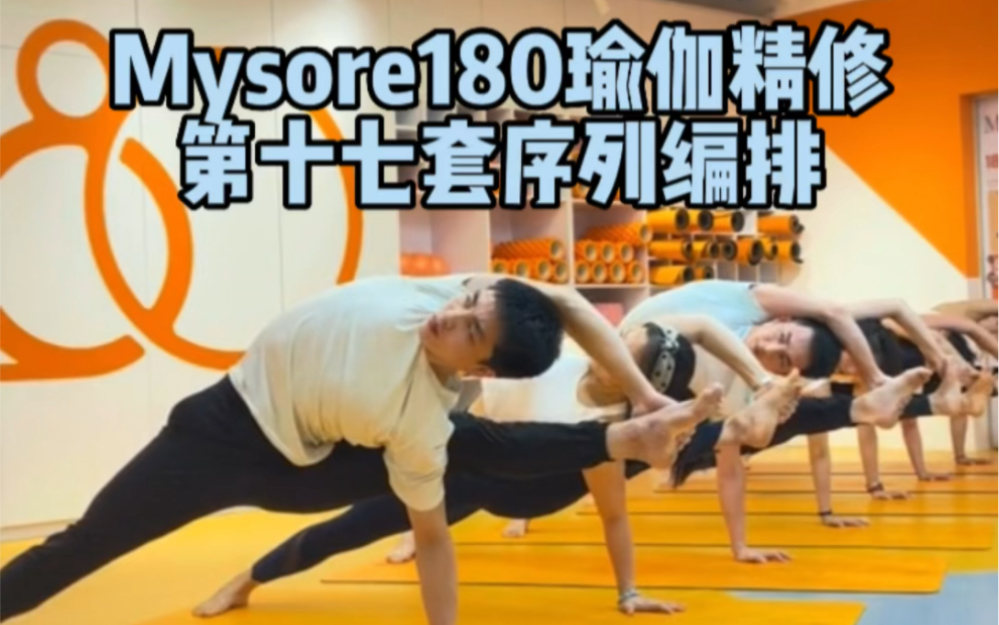 Mysore180瑜伽精修第十七套序列编排哔哩哔哩bilibili