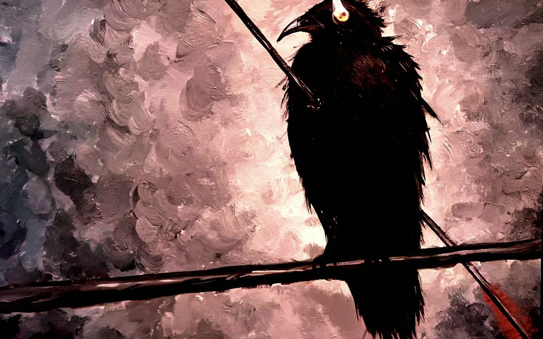 "乌鸦为何不能拥有白鸽的爱情"