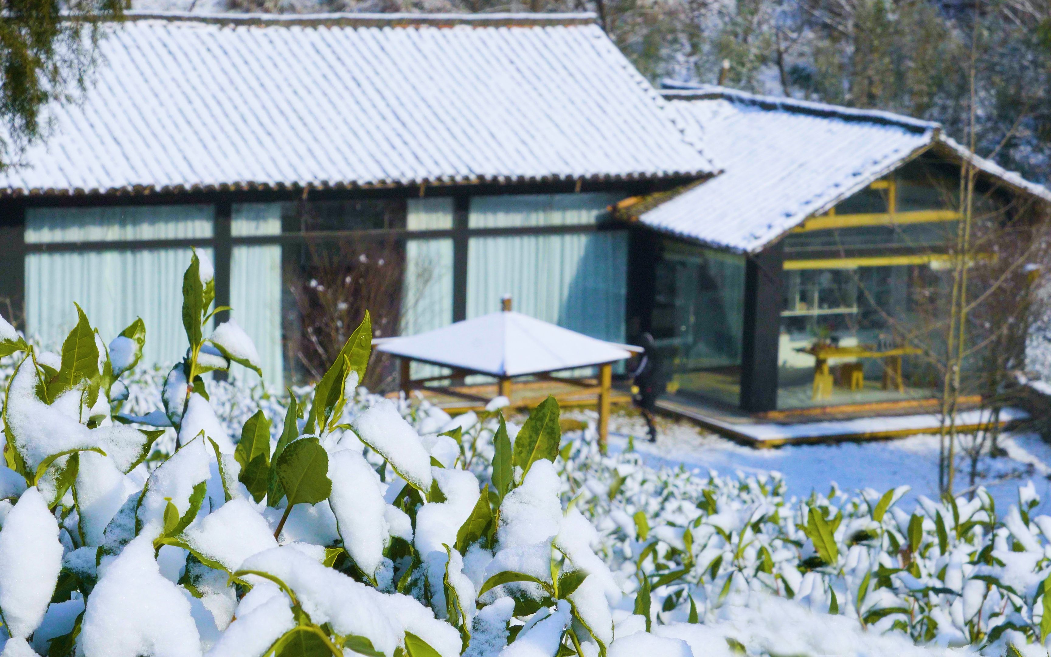 [图]老房子飘雪，如诗如画，美丽冻人！