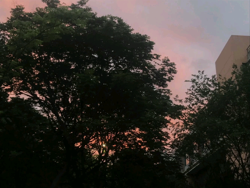 下过雨的夏天傍晚_哔哩哔哩_bilibili