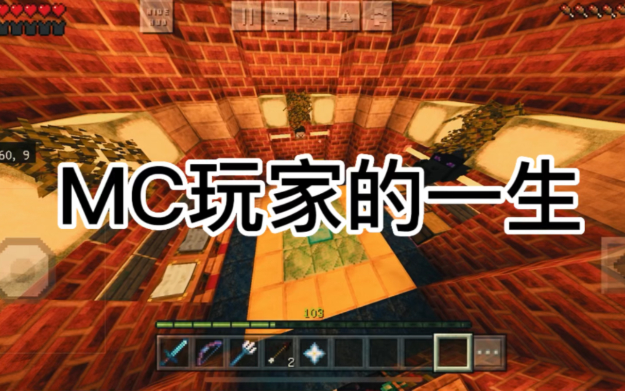 mc玩家的一生观赏