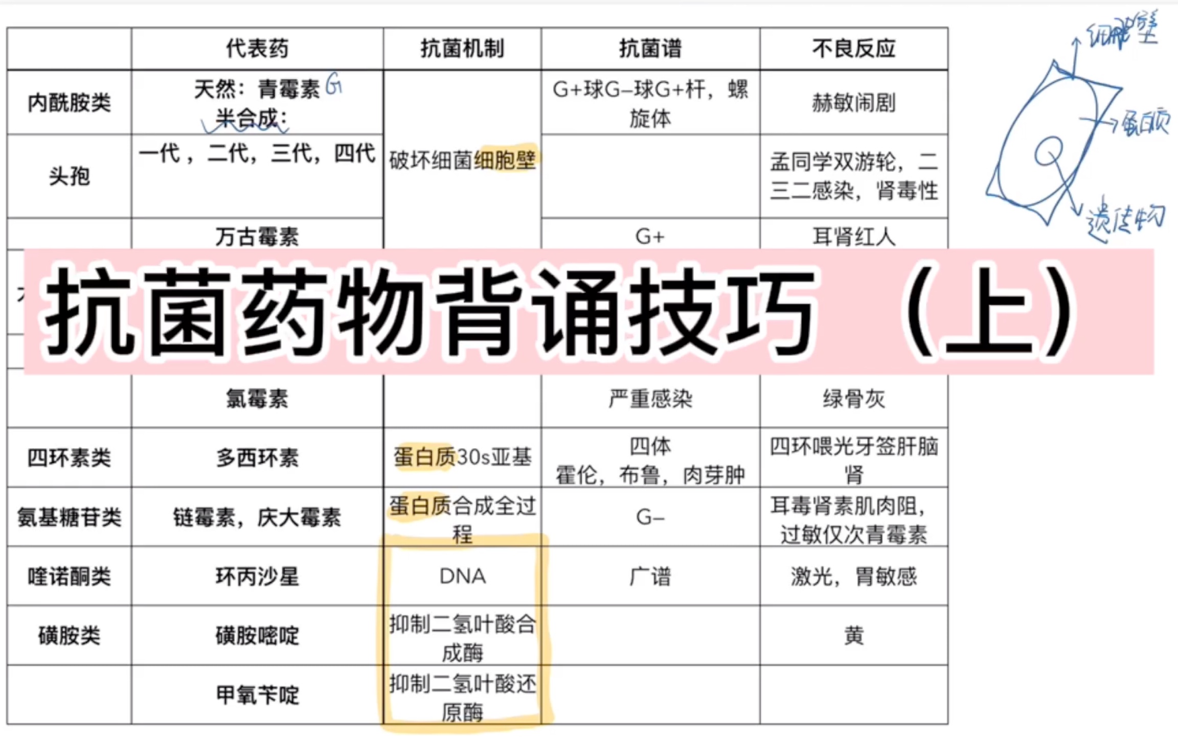 [图]药理学背诵｜抗菌药物｜学习分享｜口诀