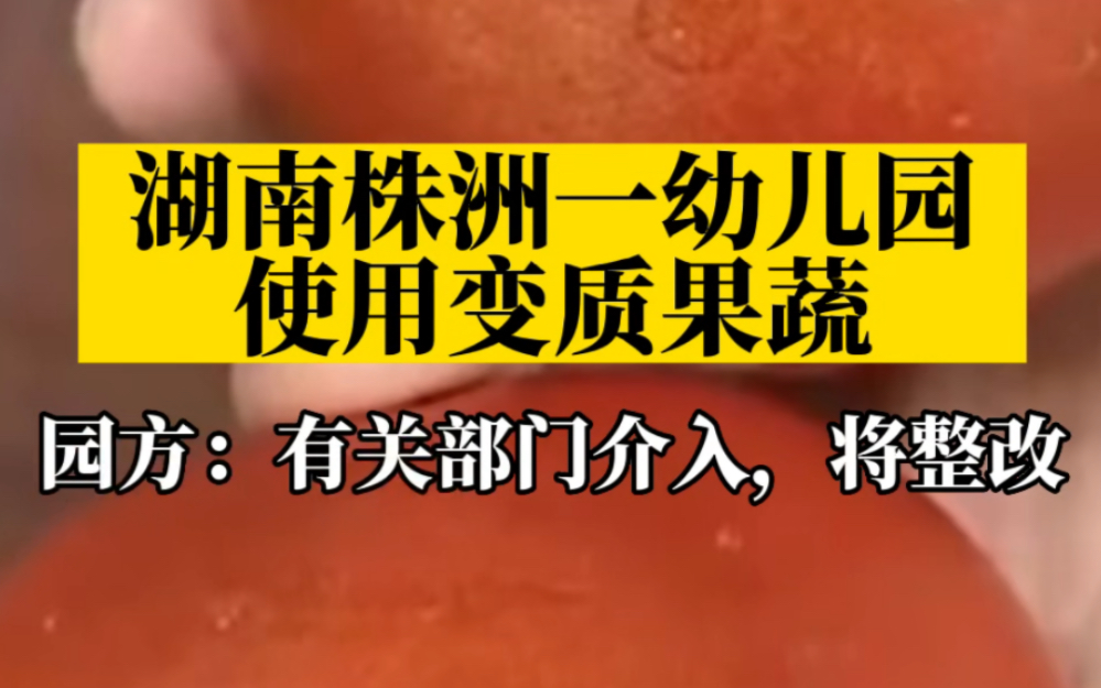 湖南株洲一幼儿园使用变质果蔬,园方:有关部门介入,将整改哔哩哔哩bilibili