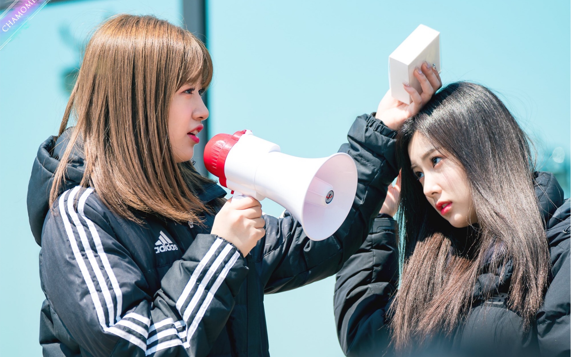 【安宥真/姜惠元】 58发糖互动合集 第一弹 izone 宥惠