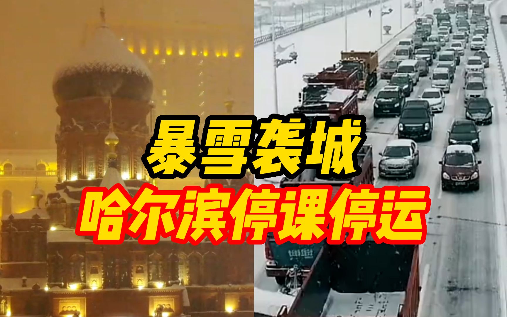 暴雪袭城!哈尔滨主城区停课一天,客运站全线停运哔哩哔哩bilibili