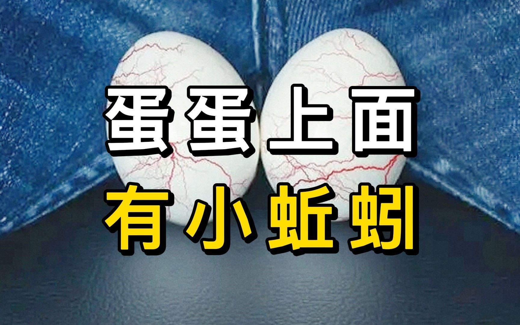 男科张广清医生丨男人蛋蛋上面有小蚯蚓是怎么回事?