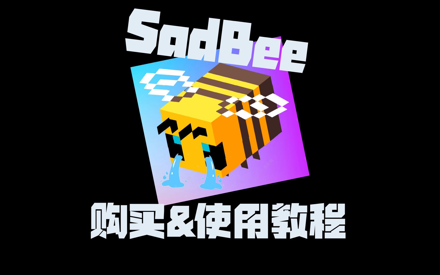 SadBee加速ip购买和使用教程哔哩哔哩bilibili