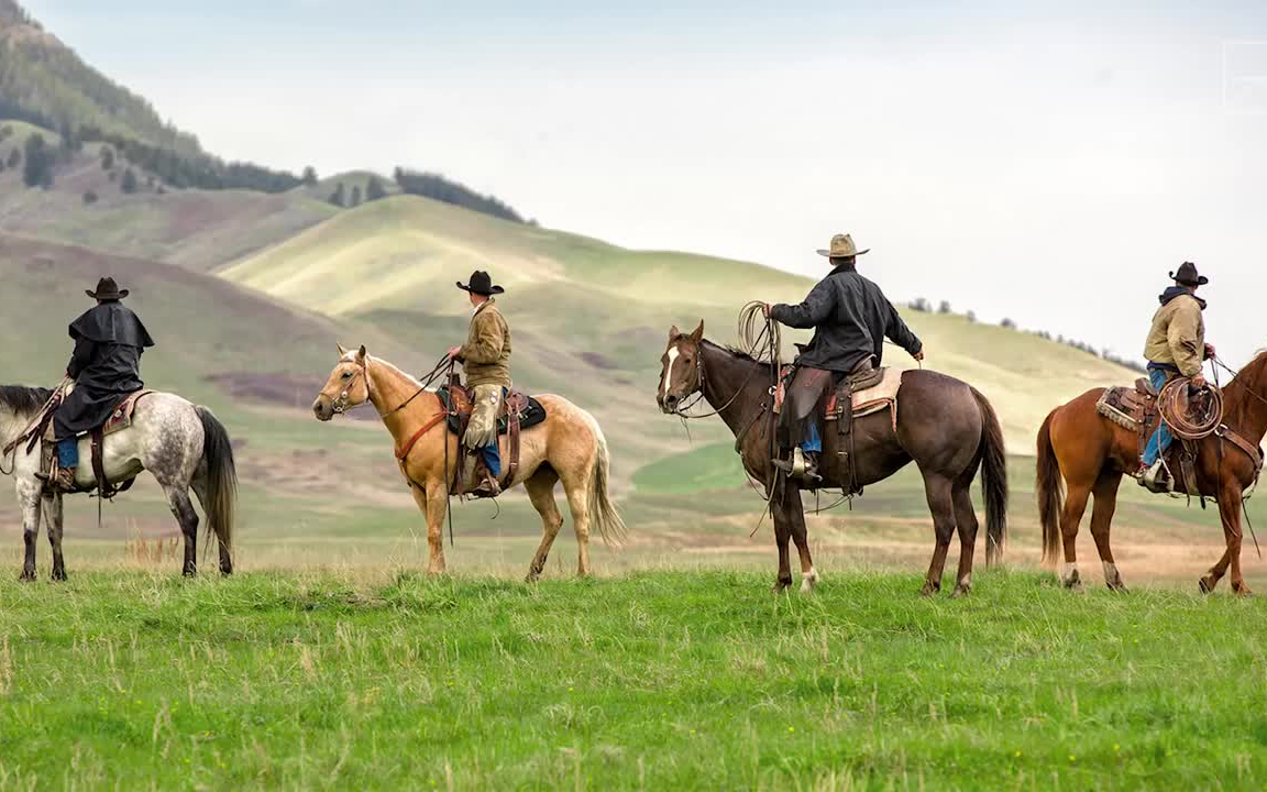 [图]【当代美国牛仔的生活】What It's Really Like To Be A Cowboy