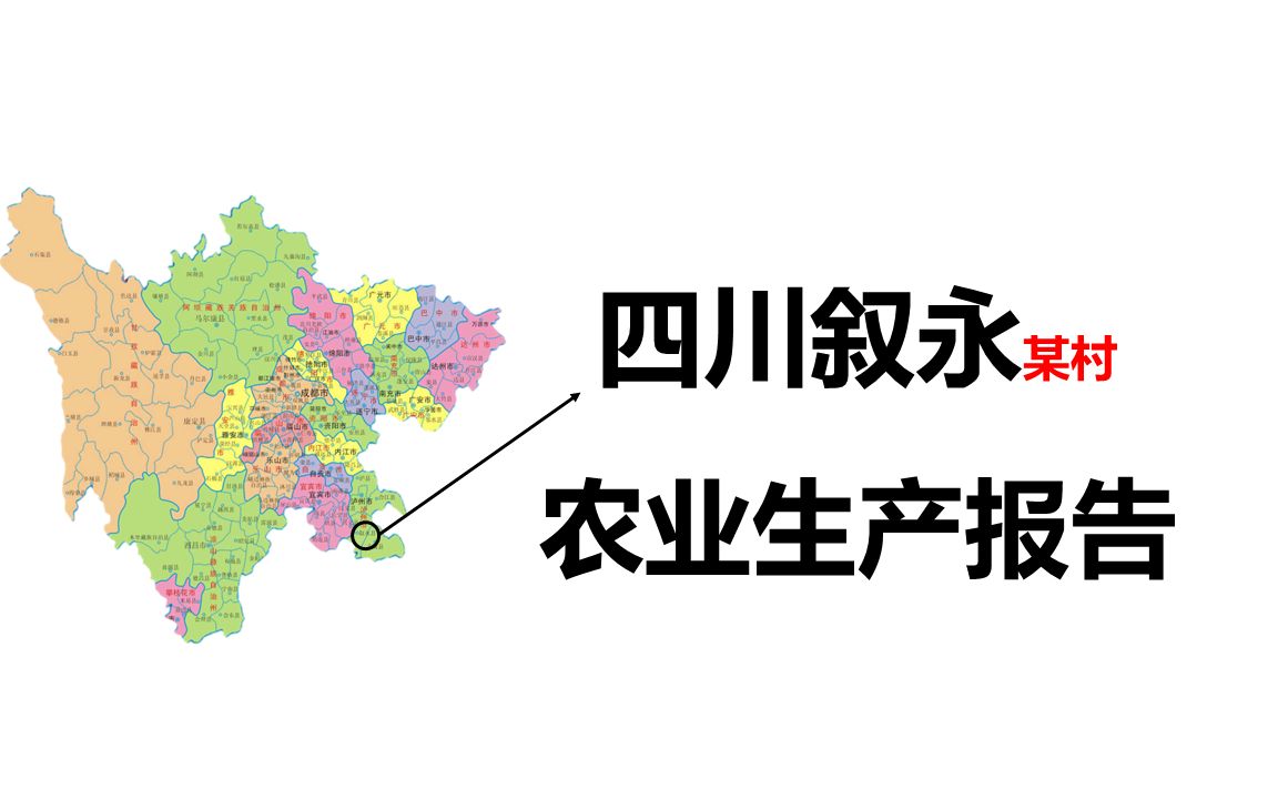 【乡土调研5】四川叙永某村农民生产报告2022(观众投稿)哔哩哔哩bilibili