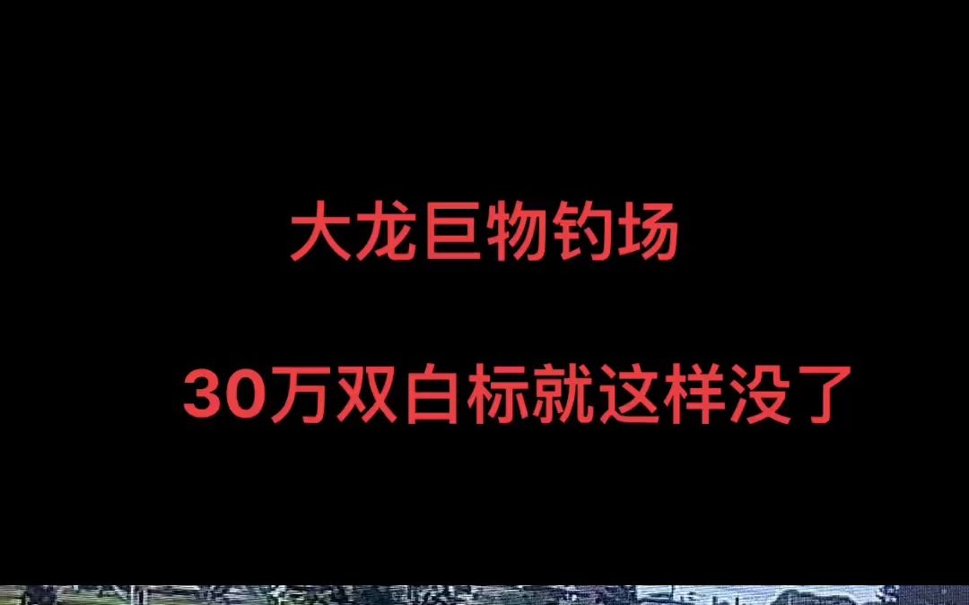 大龙巨物钓场30万出水插肩而过心痛到自闭哔哩哔哩bilibili