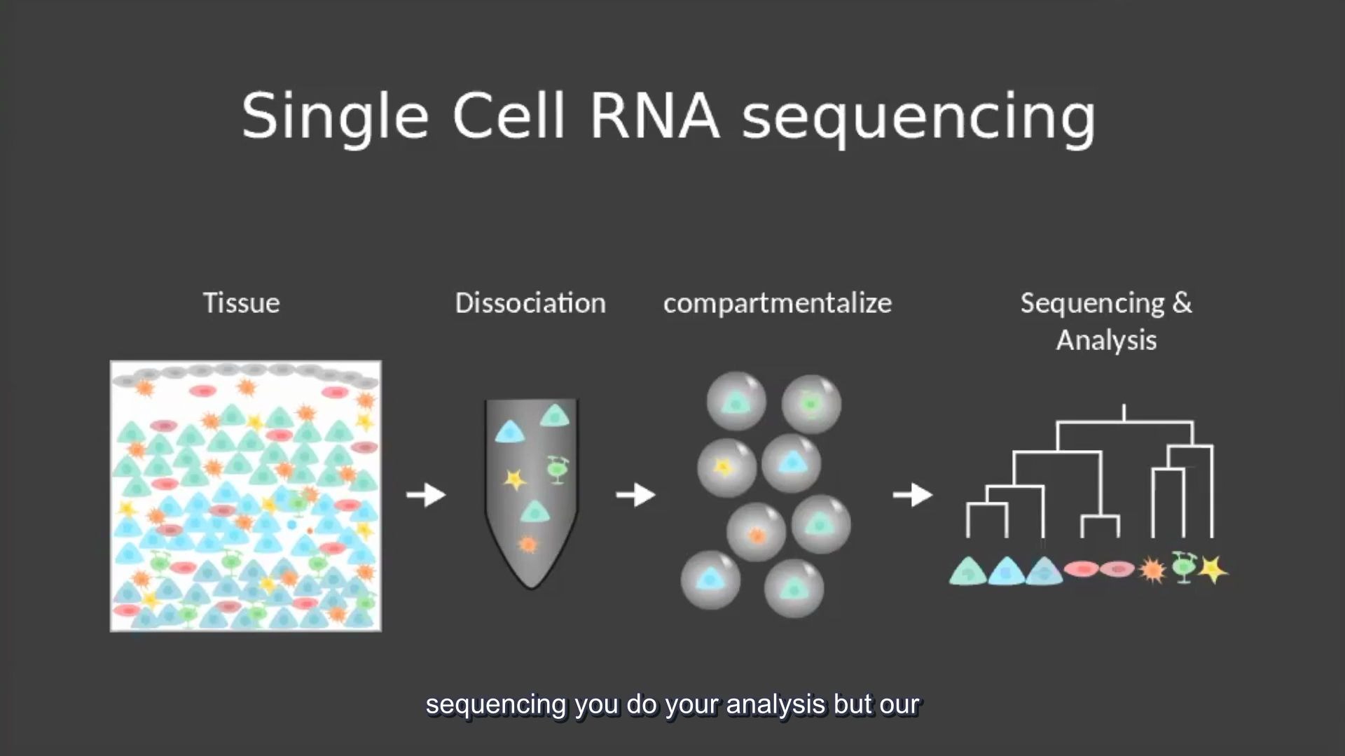 Spatial transcriptomics 11(字幕版) R语言单细胞测序_哔哩哔哩 (゜-゜)つロ 干杯~-bilibili