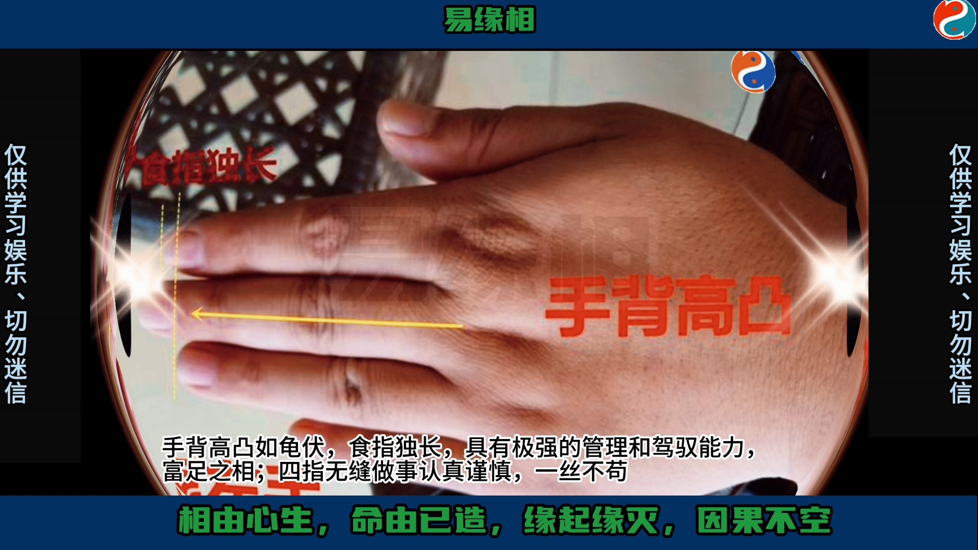 手背高凸如龟伏的手相