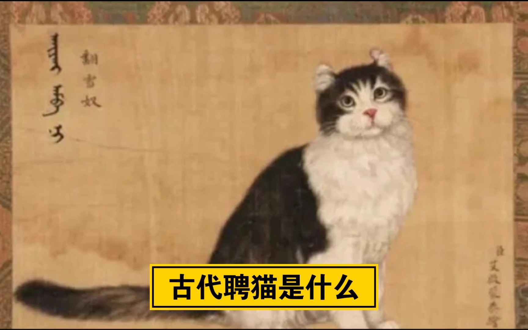 【冷知识】古代聘猫是什么哔哩哔哩bilibili