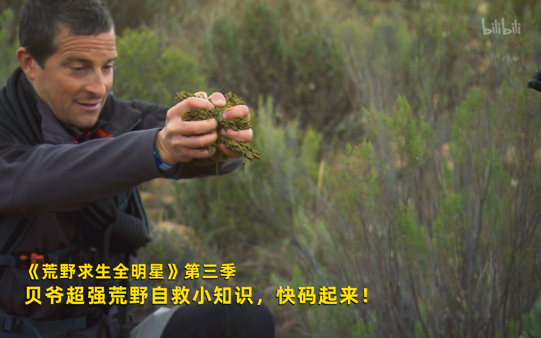 荒野求生全明星 第三季看点24-纪录片-全集-高清正版在线观看