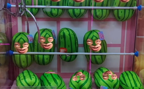 homo特有的池沼黄瓜人