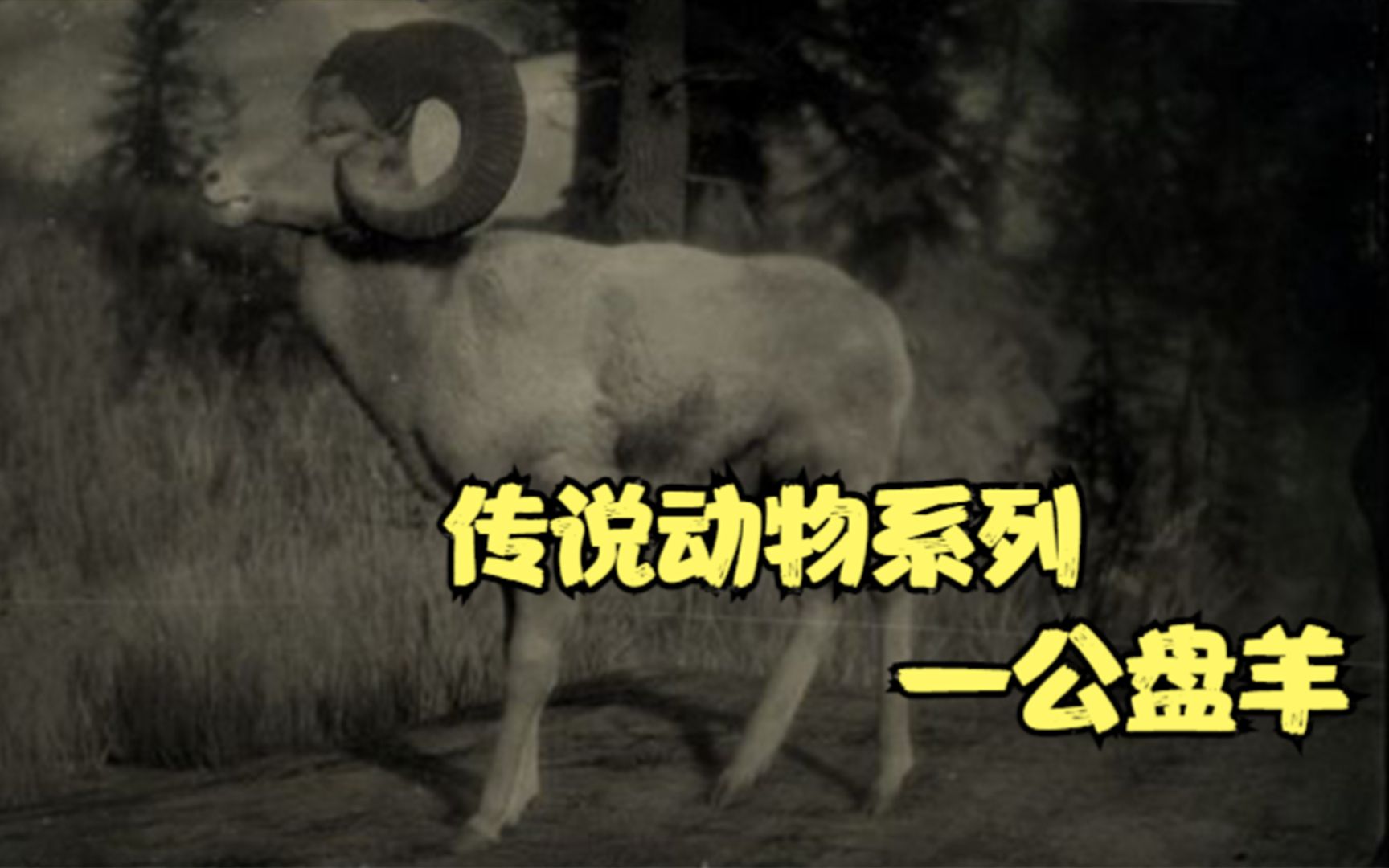 荒野大镖客2大表哥2传说动物狩猎攻略4传说公盘羊