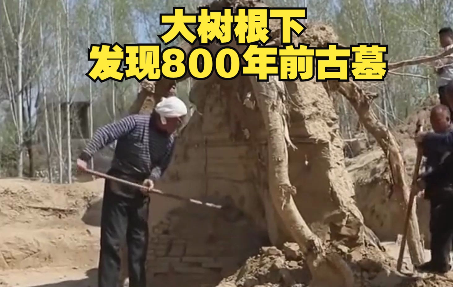 地里发现800年前古墓,自媒体人围观报到,考古队也闻讯赶来挖掘哔哩哔哩bilibili