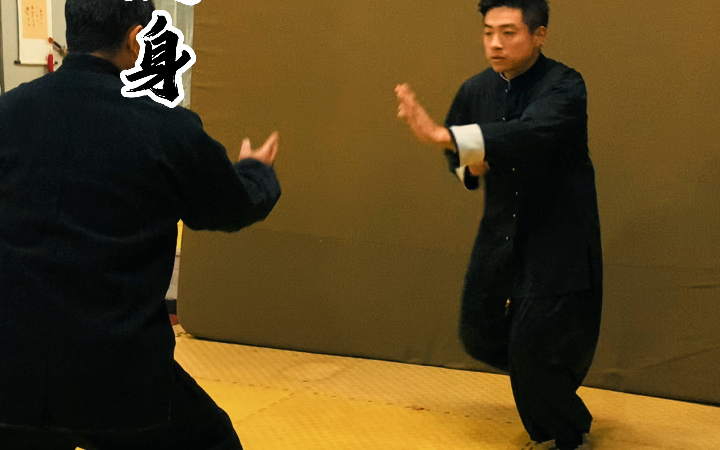 #车派形意拳 古拳法 七十二绝技 鹞子翻身 翻身捉雀 回身砍掌 #传统武术 实战形意拳 #国术传承哔哩哔哩bilibili