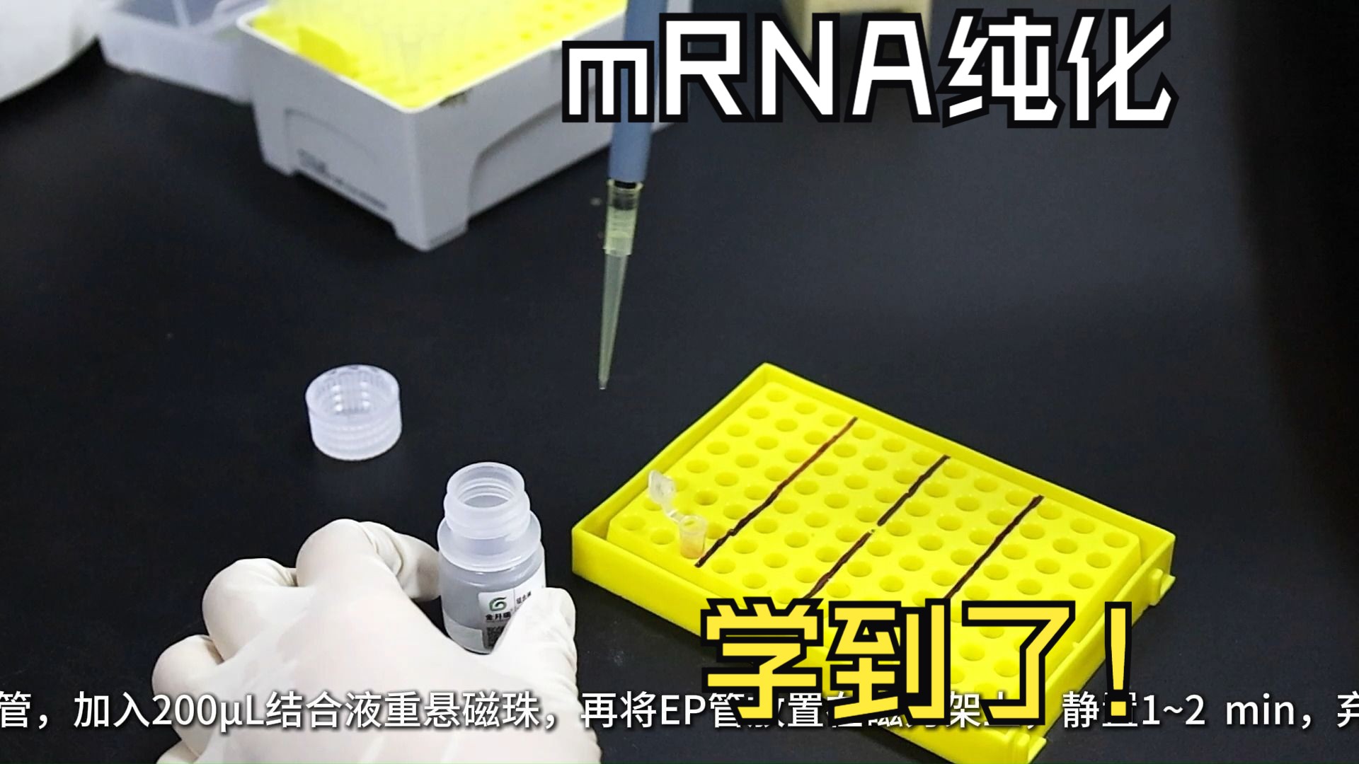 mRNA纯化怎么做?手把手学会实验详细操作!哔哩哔哩bilibili