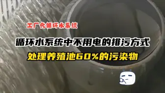 Video herunterladen: 循环水系统不用电 的排污方式，可处理养殖池60%的污染物