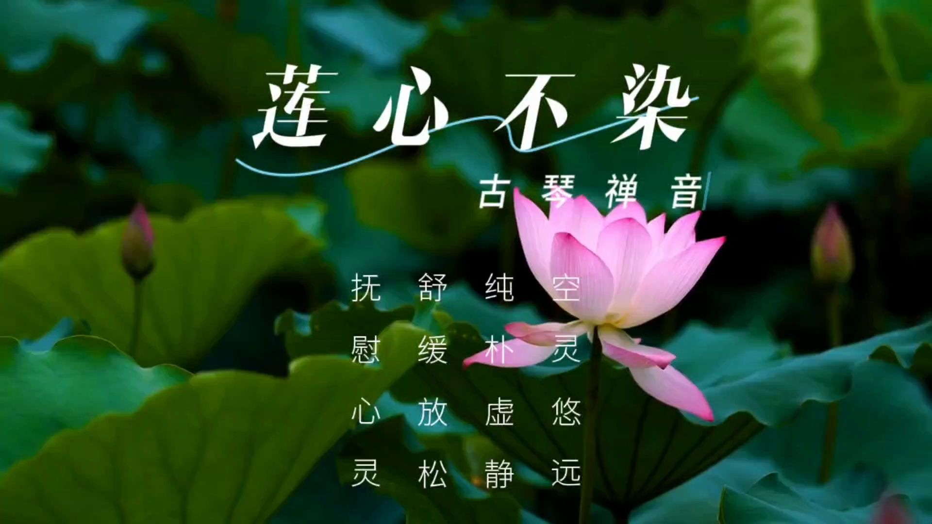 【音乐静听】98古琴禅音《莲心不染》空灵悠远,纯朴虚静,舒缓放松,抚慰心灵,悠远虚静,禅音天籁,舒缓解压,宁神入眠哔哩哔哩bilibili