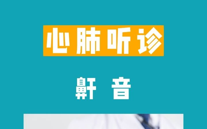 心肺听诊鼾音哔哩哔哩bilibili