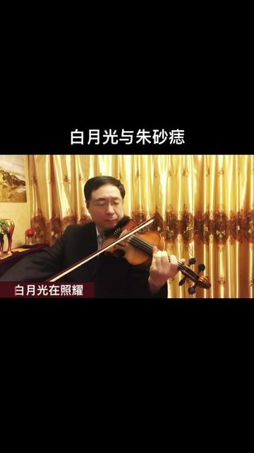 小提琴演奏《白月光與硃砂痣》