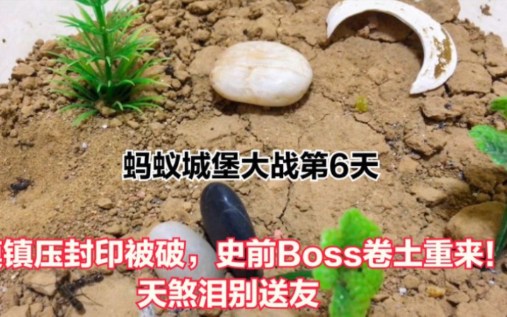 [图]「小蚂蚁城堡大战」死亡沙漠:镇压封印遭破坏，史前Boss卷土重来！