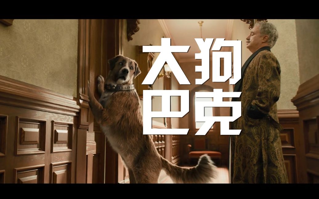 大狗巴克有只大狗的烦恼