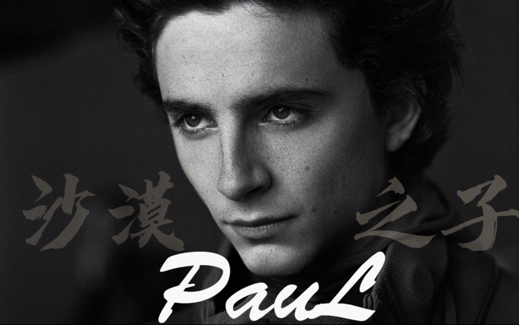 【甜茶|沙丘|打戲】沙 漠 王 子 paul——if獅子王and沙丘夢幻聯動