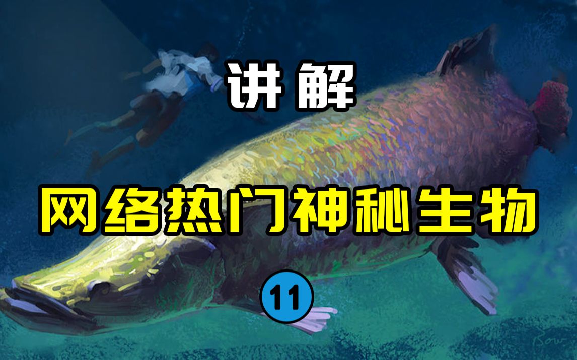 【网络热门神秘生物11】CCTV10的经典水怪!?新疆喀纳斯湖存在10米长的巨鱼吗?哔哩哔哩bilibili