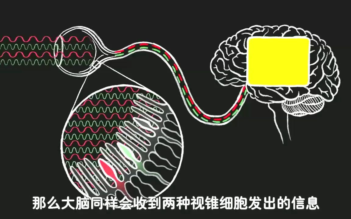 [图]. 世界上根本不存在紫色！难道眼前的颜色都是幻觉吗？