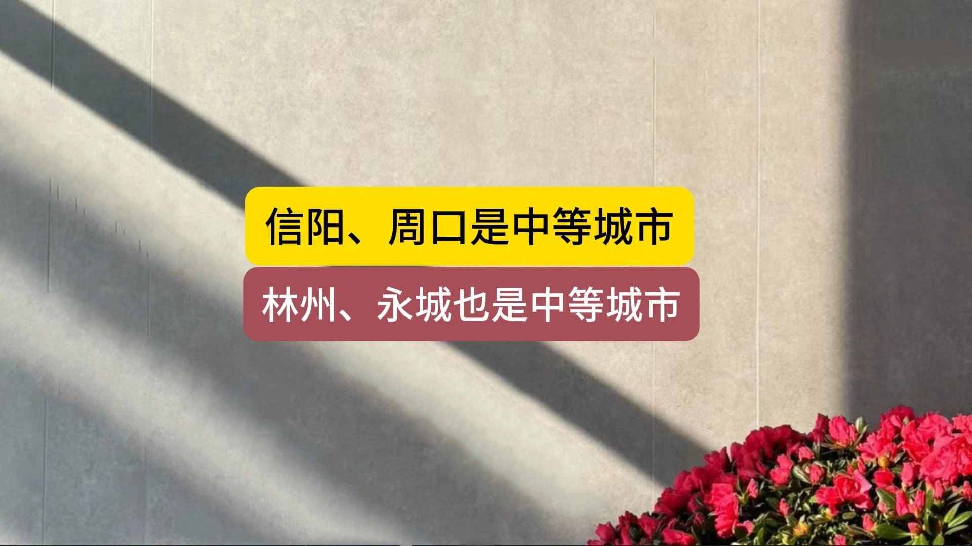 周口、信阳、林州、永城都是中等城市?哔哩哔哩bilibili