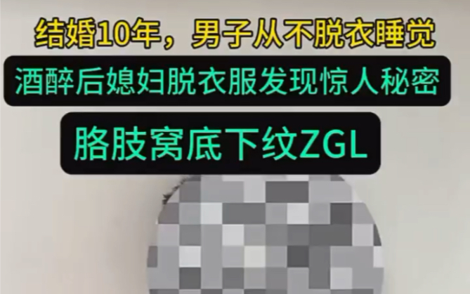 ZGL到底是啥哔哩哔哩bilibili