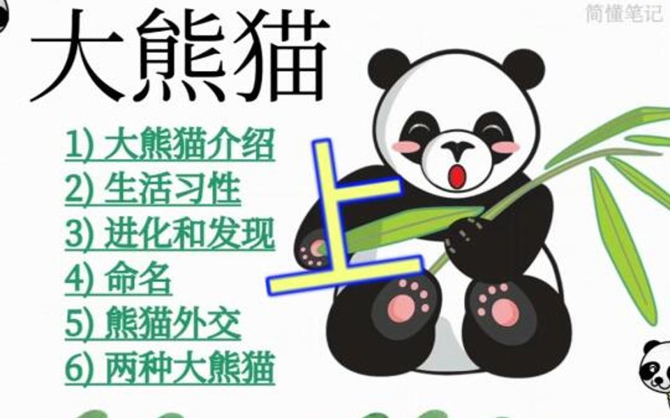 [图]了解大熊猫?国宝熊猫Panda介绍（上）