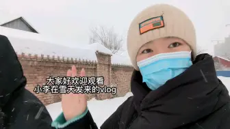 Download Video: VLOG 65 | 朋友们今天出去踏雪了嘛？（伊宁市今天下好大雪啊）