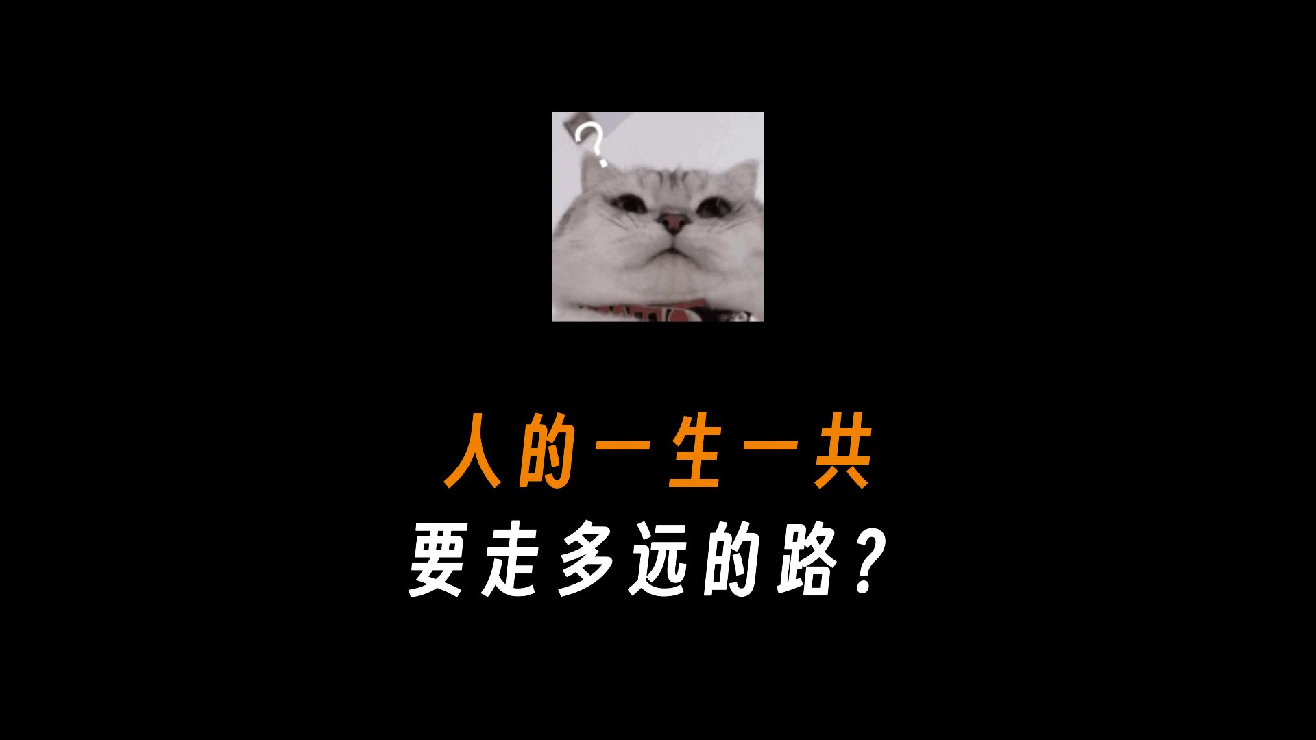 人的一生一共要走多远的路?哔哩哔哩bilibili