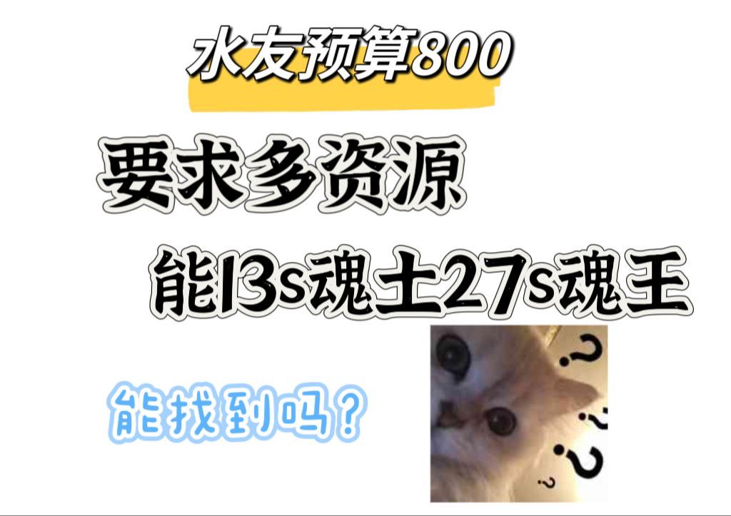 水友预算800,要求多资源,性价高,能13秒魂土,27秒魂王,能找到吗?网易阴阳师