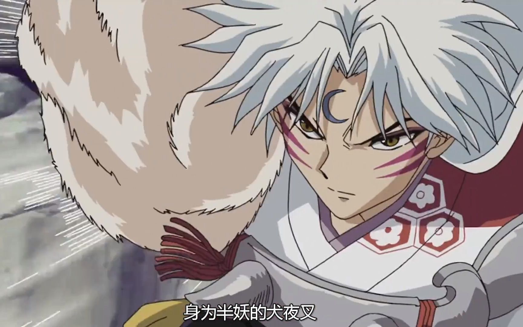 犬大将 B站