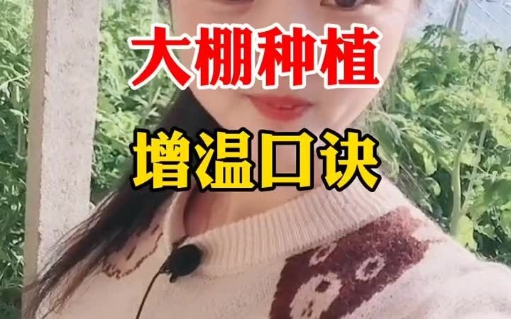 【聊三农】温室大棚如何提升棚内温度呢?分享一个增温口诀!哔哩哔哩bilibili