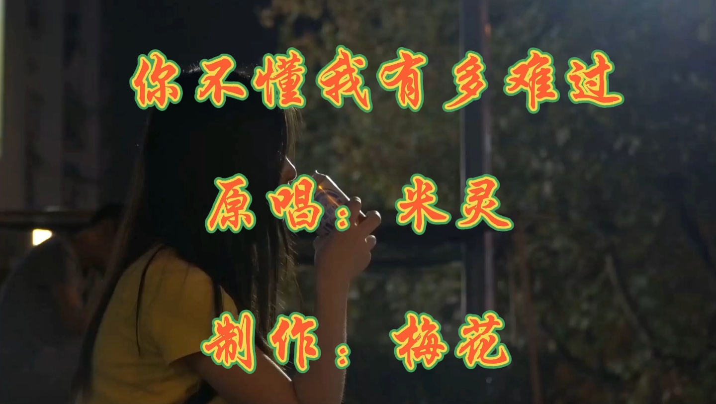 自己的心里只有自己最懂歌曲《你不懂我有多难过》百听不厌超级好听.