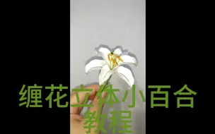 Скачать видео: 缠花立体小百合花教程图纸已发