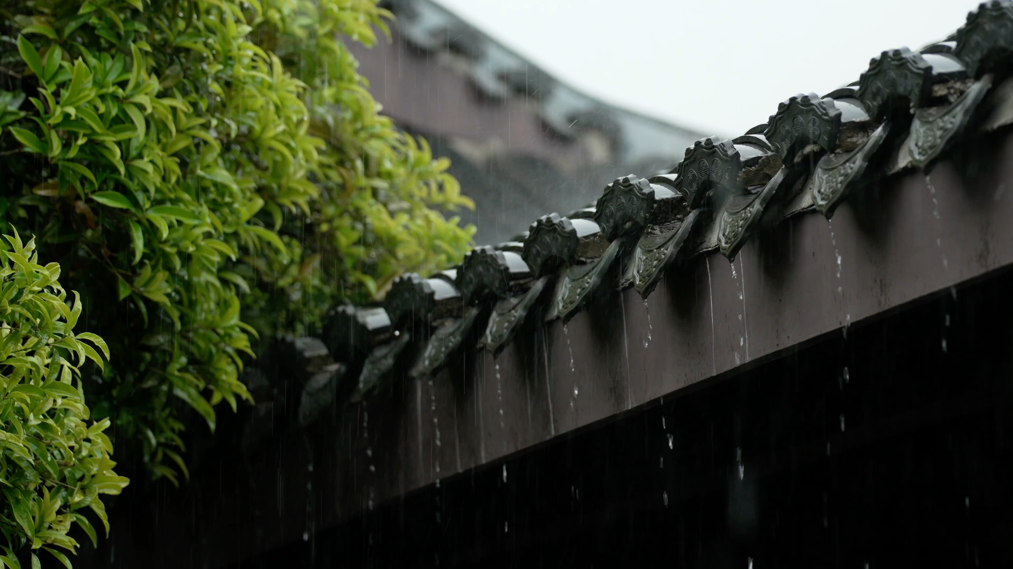 喜歡看雨水從屋簷滴落