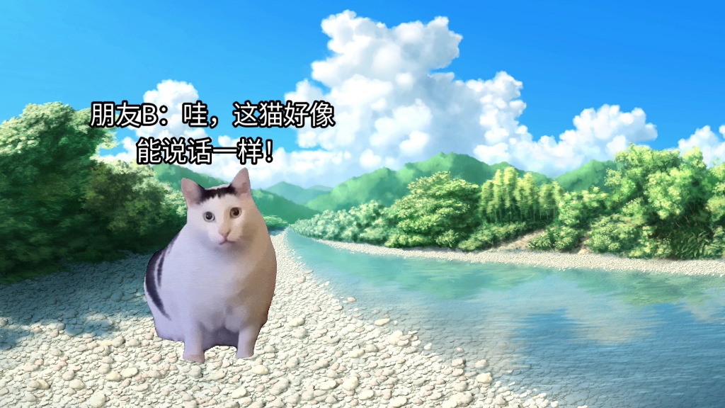 【超级小黄猫】最新视频来袭,快来看看吧!哔哩哔哩bilibili