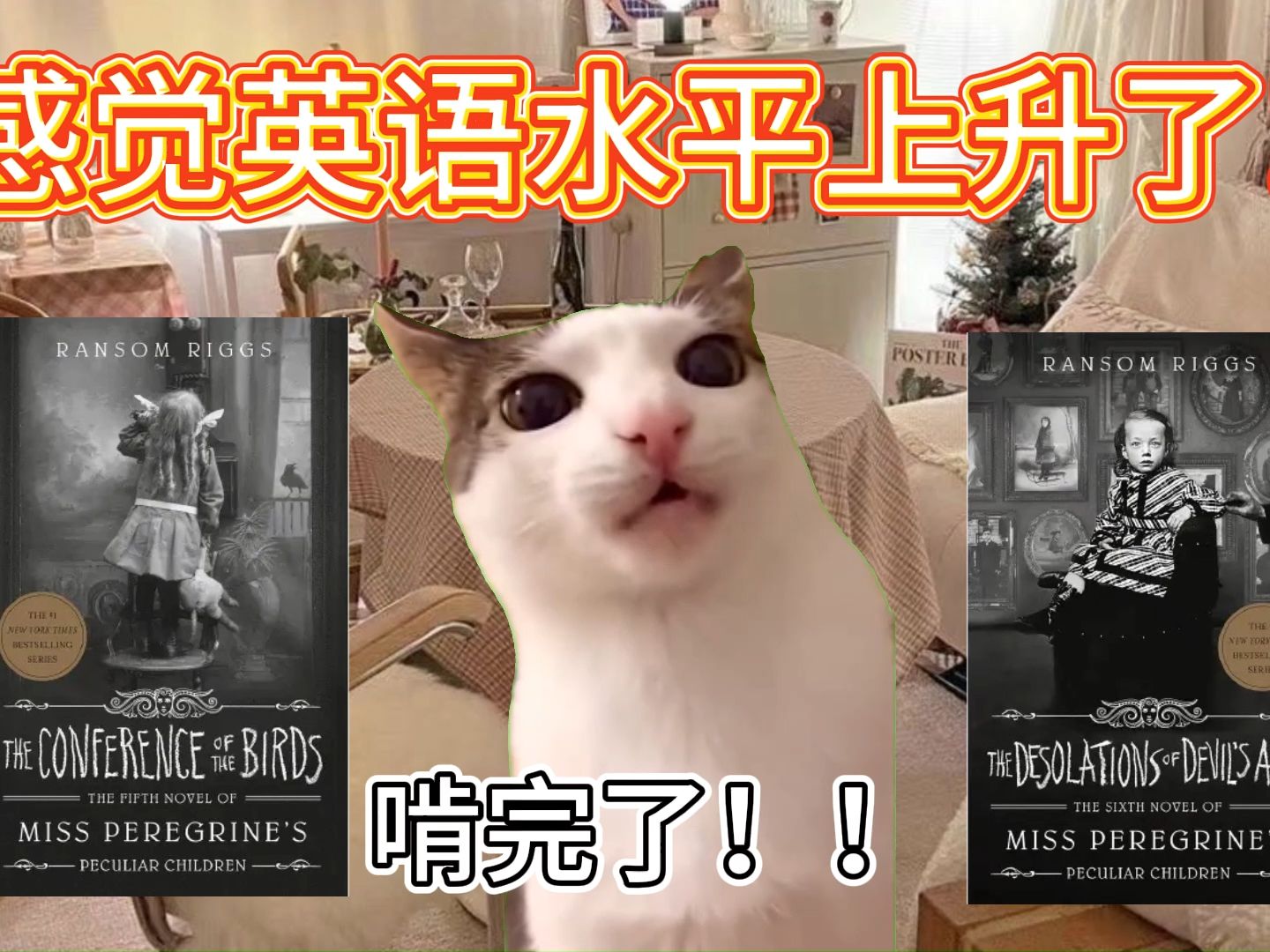 [图]【猫meme】在书店的一瞥贯穿了我的一生