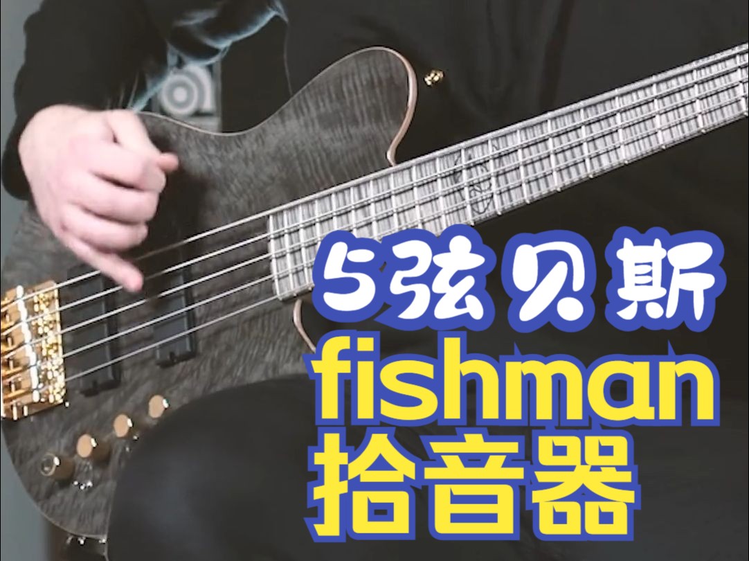 Fishman | 无声尖叫 5弦贝斯装上 fishman 拾音器是什么动态?哔哩哔哩bilibili