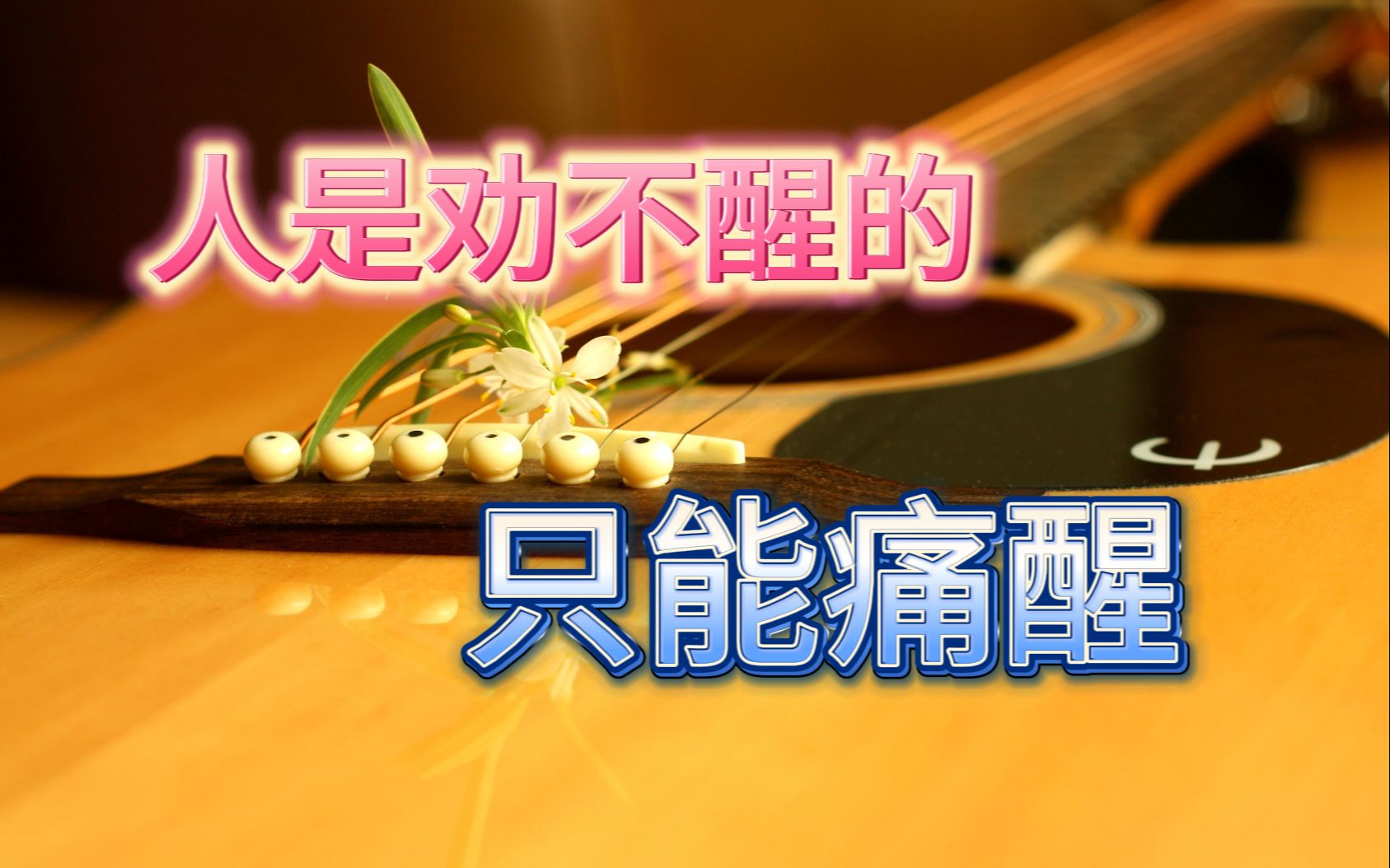 人是劝不醒的,只能痛醒