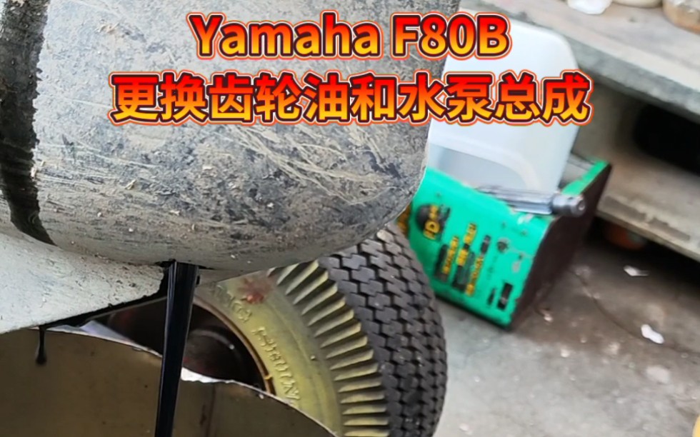 Yamaha F80B更换水泵总成和齿轮油. #热门 #船外机维修 #机械维修哔哩哔哩bilibili