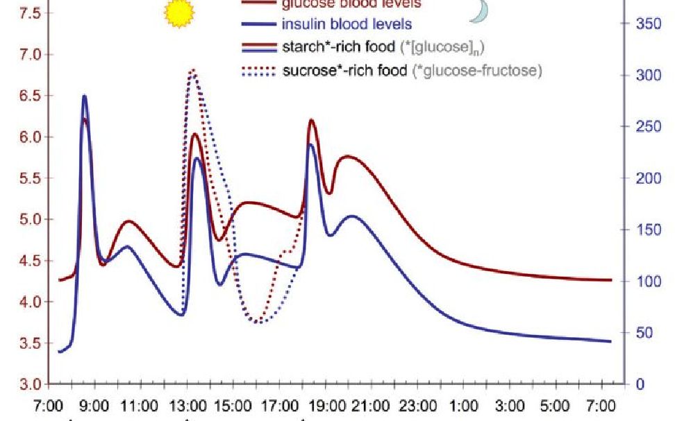 (英文)肥胖症,糖尿病和癌症的最佳治疗(Best Treatment for Obesity, Diabetes & Cancer)哔哩哔哩bilibili